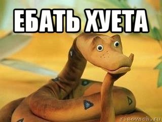 ебать хуета 