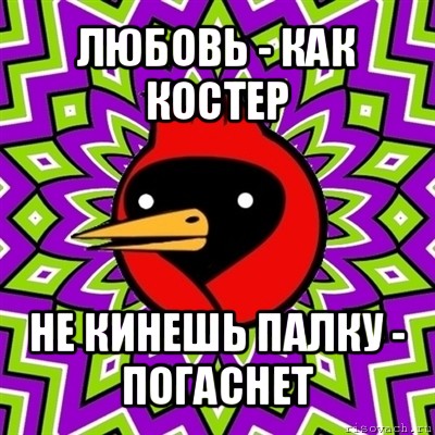 любовь - как костер не кинешь палку - погаснет, Мем Омская птица