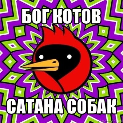 бог котов сатана собак, Мем Омская птица