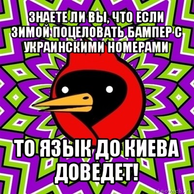 знаете ли вы, что если зимой поцеловать бампер с украинскими номерами то язык до киева доведет!, Мем Омская птица