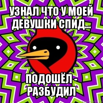 узнал что у моей девушки спид... подошёл - разбудил, Мем Омская птица