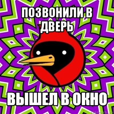 позвонили в дверь вышел в окно, Мем Омская птица