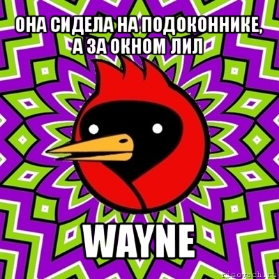 она сидела на подоконнике, а за окном лил wayne, Мем Омская птица