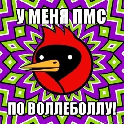 у меня пмс по воллеболлу!, Мем Омская птица