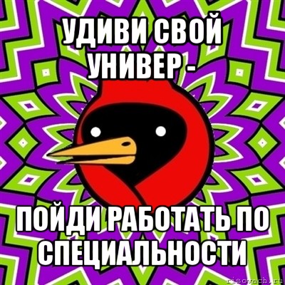 удиви свой универ - пойди работать по специальности, Мем Омская птица