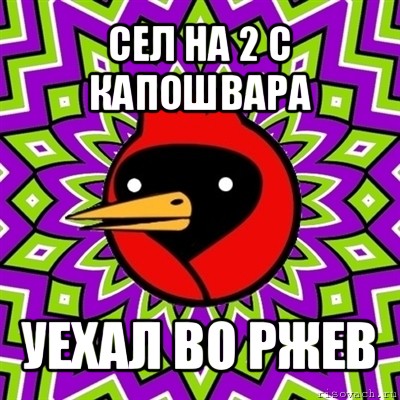 сел на 2 с капошвара уехал во ржев, Мем Омская птица