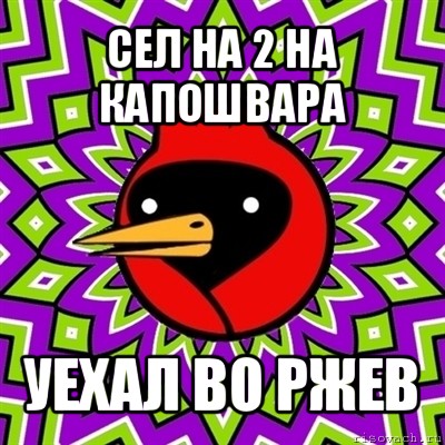 сел на 2 на капошвара уехал во ржев, Мем Омская птица