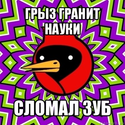 грыз гранит науки сломал зуб, Мем Омская птица