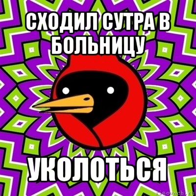 сходил сутра в больницу уколоться, Мем Омская птица