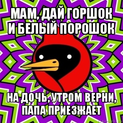 мам, дай горшок и белый порошок на дочь, утром верни, папа приезжает, Мем Омская птица