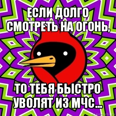 если долго смотреть на огонь, то тебя быстро уволят из мчс..., Мем Омская птица