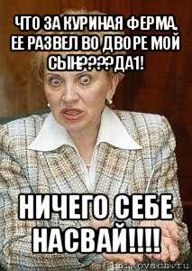 что за куриная ферма, ее развел во дворе мой сын???да1! ничего себе насвай!!!, Мем Судья Егорова