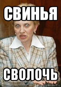 свинья сволочь