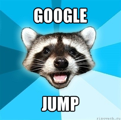 google jump, Мем Енот-Каламбурист