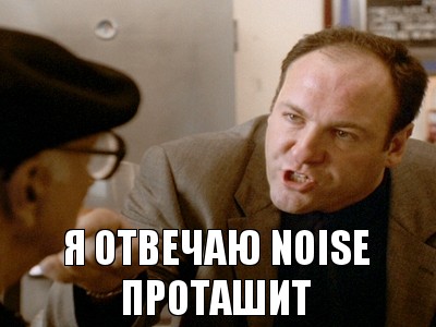 Я отвечаю NOISE проташит