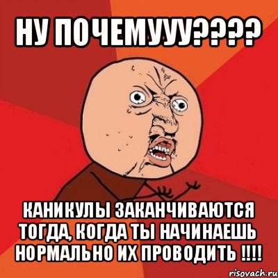 ну почемууу??? каникулы заканчиваются тогда, когда ты начинаешь нормально их проводить !!!, Мем Почему