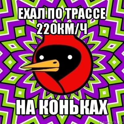 ехал по трассе 220км/ч на коньках, Мем Омская птица