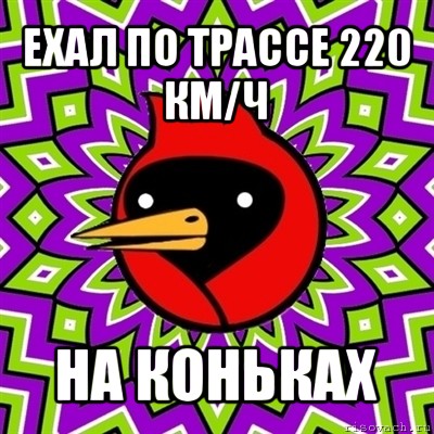 ехал по трассе 220 км/ч на коньках, Мем Омская птица