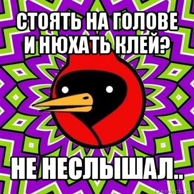 стоять на голове и нюхать клей? не неслышал.., Мем Омская птица