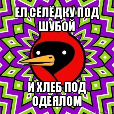 ел селёдку под шубой и хлеб под одеялом, Мем Омская птица