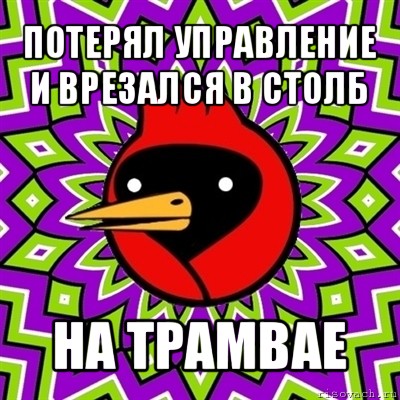 потерял управление и врезался в столб на трамвае, Мем Омская птица