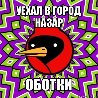 уехал в город назар оботки, Мем Омская птица