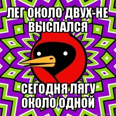 лег около двух-не выспался сегодня лягу около одной, Мем Омская птица