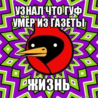 узнал что гуф умер из газеты жизнь, Мем Омская птица