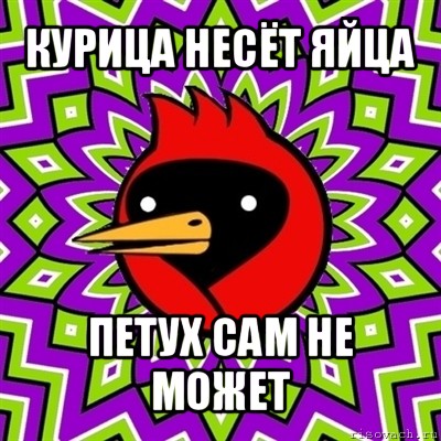 курица несёт яйца петух сам не может, Мем Омская птица