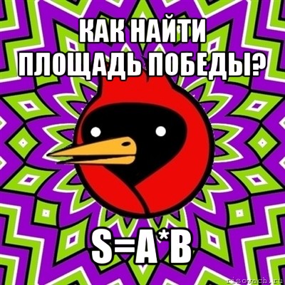 как найти площадь победы? s=a*b, Мем Омская птица