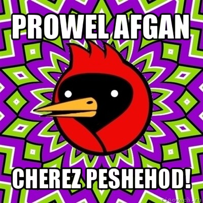 prowel afgan cherez peshehod!, Мем Омская птица