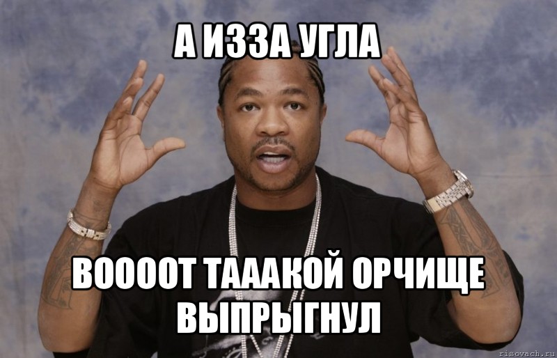 а изза угла воооот тааакой орчище выпрыгнул, Мем Xzibit