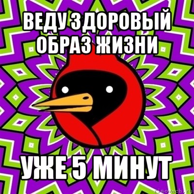 веду здоровый образ жизни уже 5 минут, Мем Омская птица