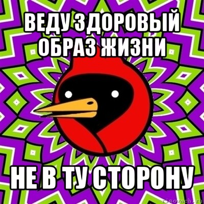 веду здоровый образ жизни не в ту сторону, Мем Омская птица