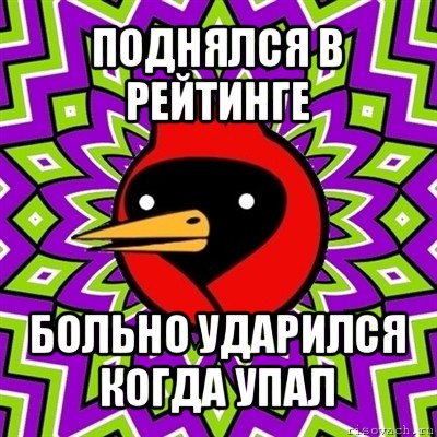 поднялся в рейтинге больно ударился когда упал, Мем Омская птица