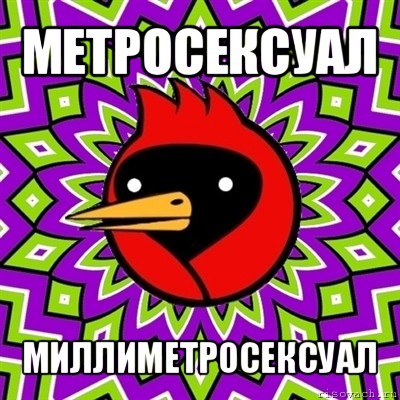 метросексуал миллиметросексуал, Мем Омская птица