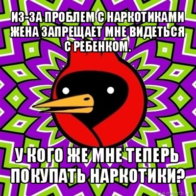 из-за проблем с наркотиками жена запрещает мне видеться с ребенком. у кого же мне теперь покупать наркотики?, Мем Омская птица