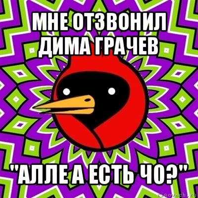 мне отзвонил дима грачев "алле а есть чо?", Мем Омская птица