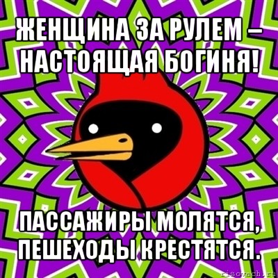 женщина за рулем – настоящая богиня! пассажиры молятся, пешеходы крестятся., Мем Омская птица