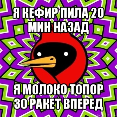 я кефир пила 20 мин назад я молоко топор 30 ракет вперед, Мем Омская птица