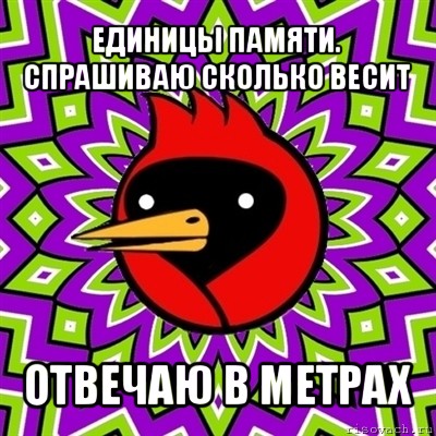 единицы памяти. спрашиваю сколько весит отвечаю в метрах, Мем Омская птица