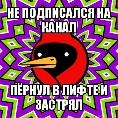 не подписался на канал пёрнул в лифте и застрял, Мем Омская птица