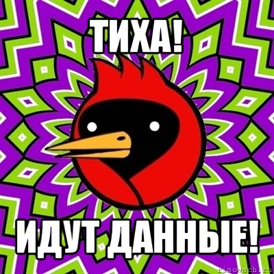 тиха! идут данные!, Мем Омская птица