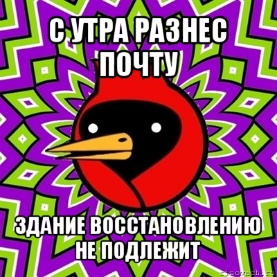 с утра разнес почту здание восстановлению не подлежит, Мем Омская птица