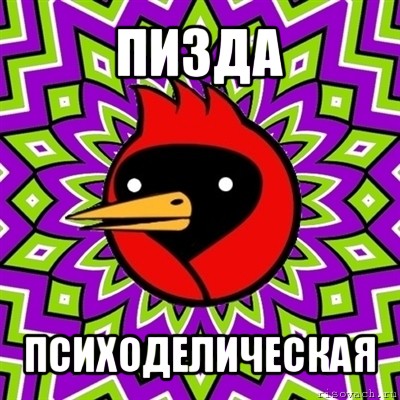 пизда психоделическая, Мем Омская птица