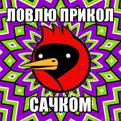 ловлю прикол сачком, Мем Омская птица