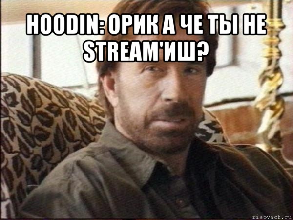 hoodin: орик а че ты не stream'иш? , Мем чак норрис