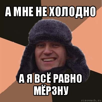 а мне не холодно а я всё равно мёрзну, Мем навальный