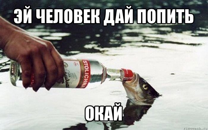 Эй народ веселей. Рыба моей мечты. Рыба мечты Мем. Рыба моей мечты Мем. Мемы про рыбалку.
