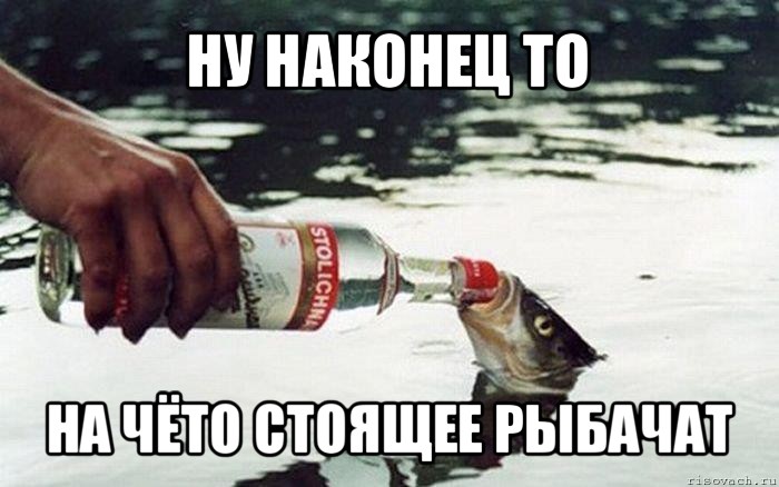 ну наконец то на чёто стоящее рыбачат, Мем рыбка